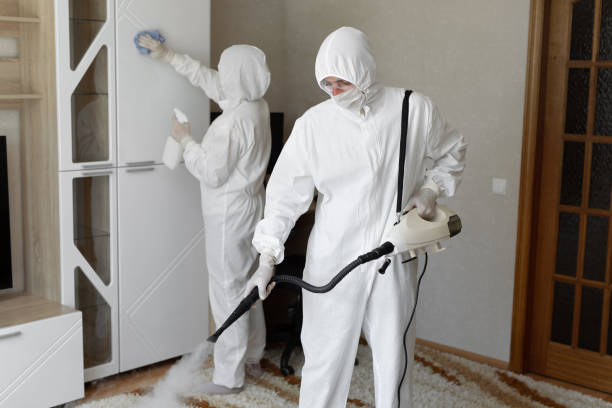 Best Best Mold Removal Companies  in St Helen, MI