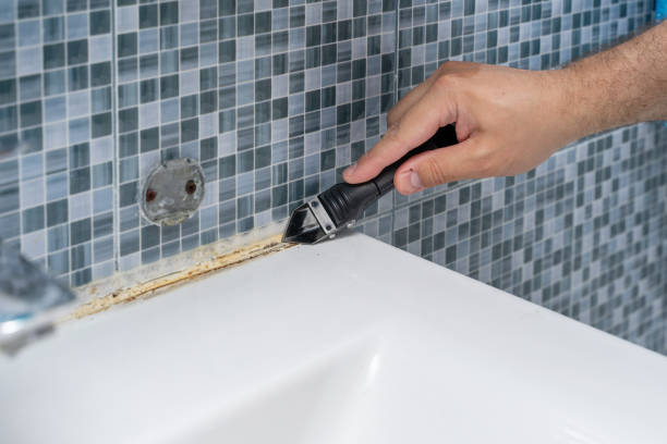 Best Residential Mold Removal  in St Helen, MI